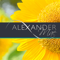 Alexander Mae (Bristol) Ltd